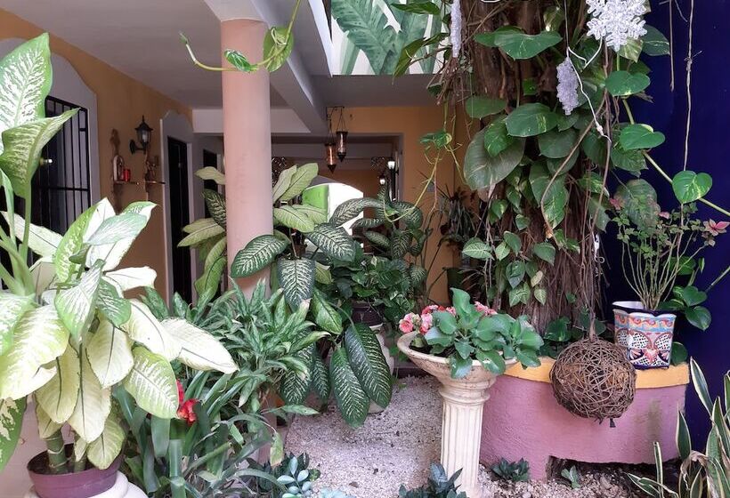 בית מלון כפרי Palacio Canton