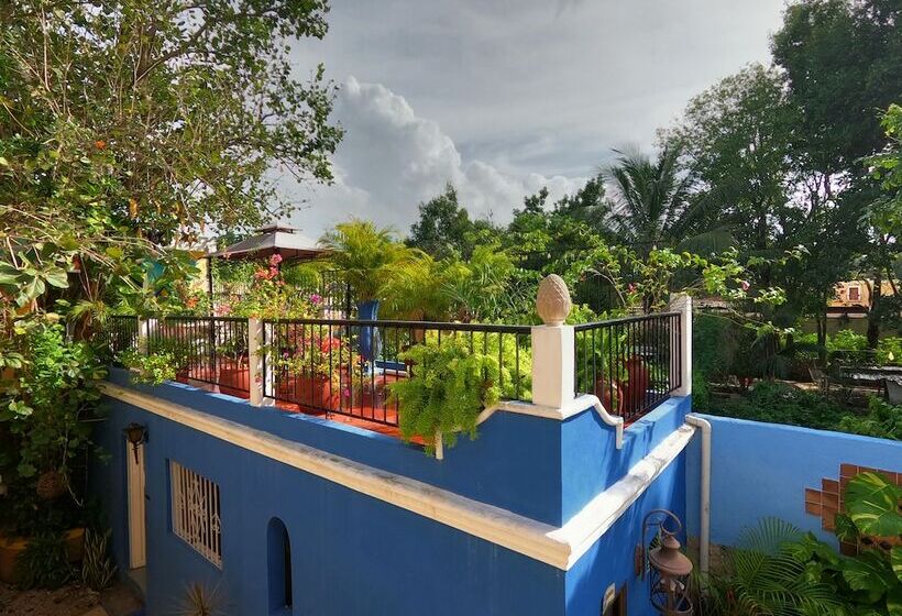 בית מלון כפרי Palacio Canton