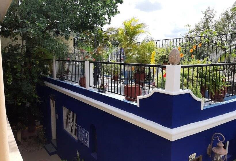 בית מלון כפרי Palacio Canton