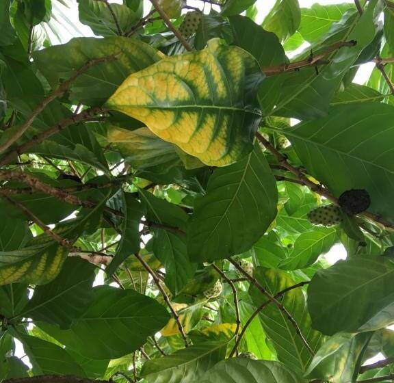 هتل Restaurante Versalles