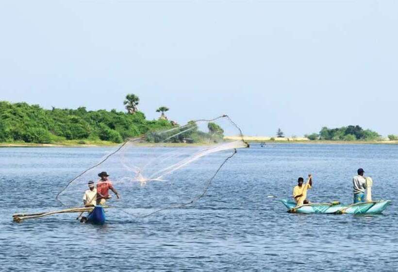 Sunnyfish Hotel & Resort