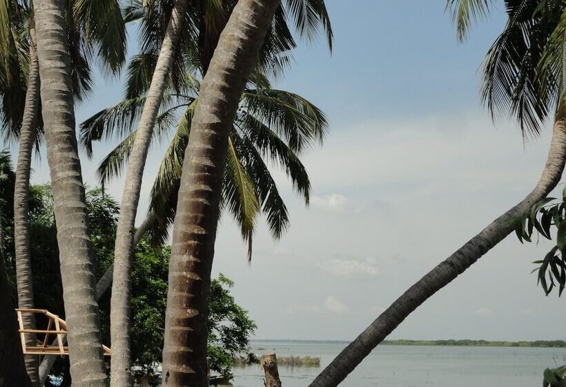 Sunnyfish Hotel & Resort