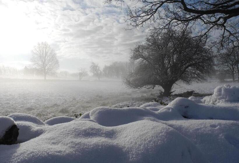 酒店 Villa Gina österlen
