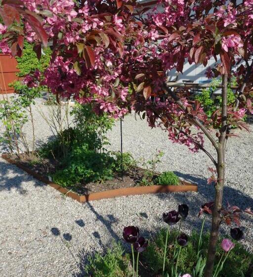 酒店 Villa Gina österlen