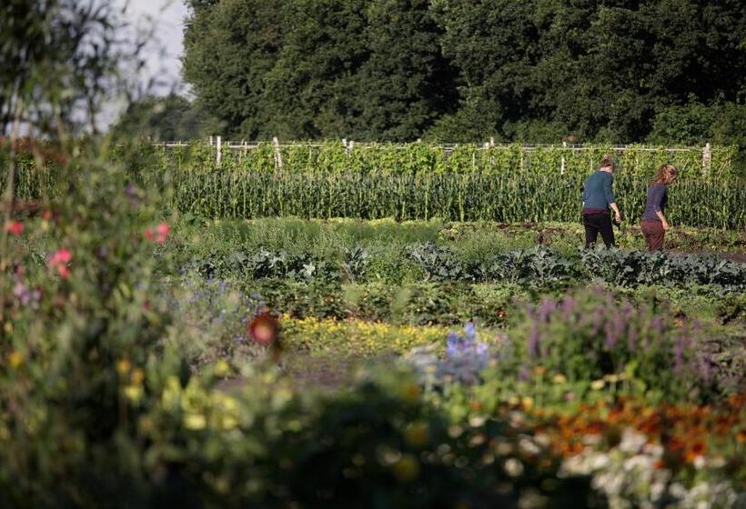 Landhuis Hotel Rikus