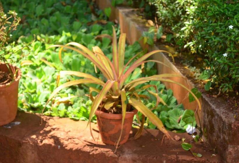 Kaular Atithis Grand Kokan Resort