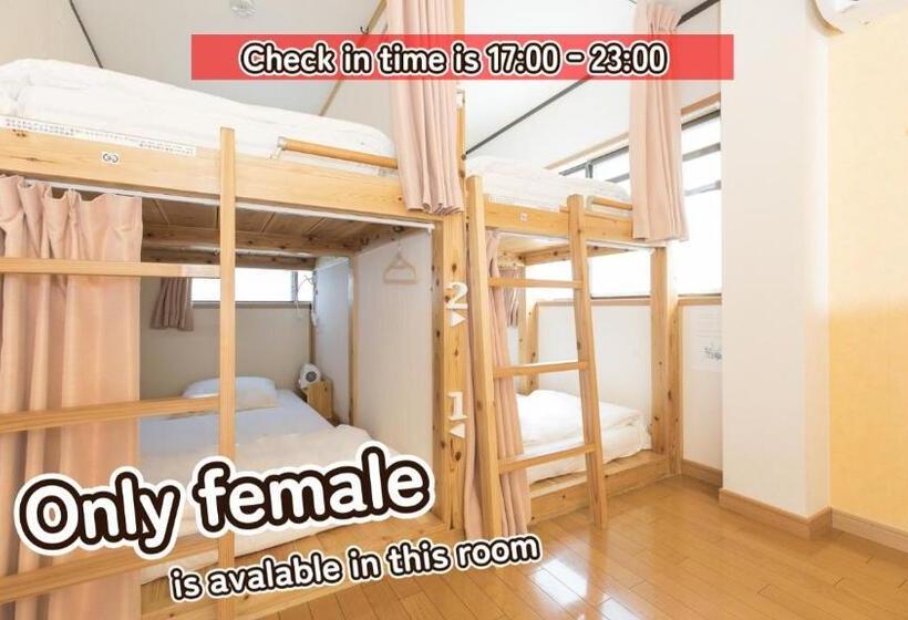 Bigtree Guest House Hostel