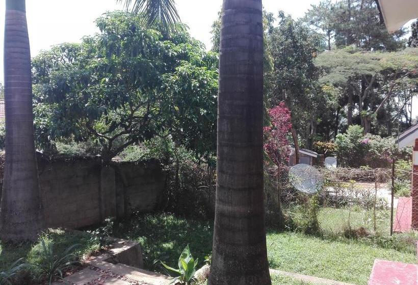 هاستل Sunbird Backpackers