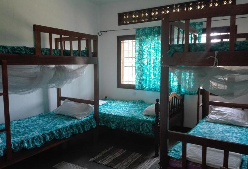 هاستل Sunbird Backpackers