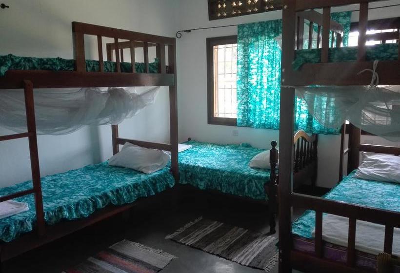 هاستل Sunbird Backpackers