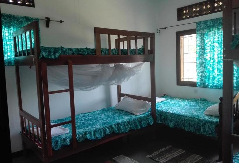 هاستل Sunbird Backpackers