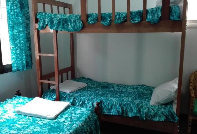 هاستل Sunbird Backpackers