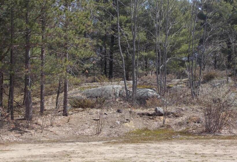 Bear & Butterfly Bed And Breakfast