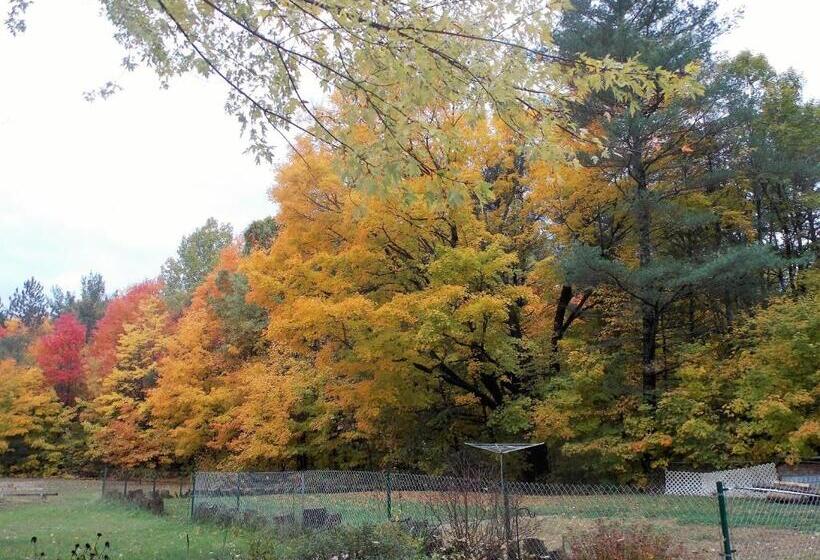 Bear & Butterfly Bed And Breakfast