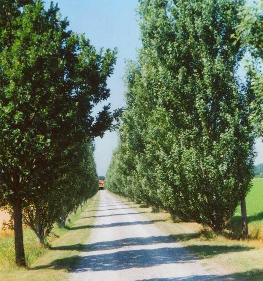 צימר Agriturismo Le Colombaie