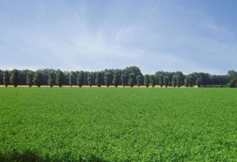 צימר Agriturismo Le Colombaie