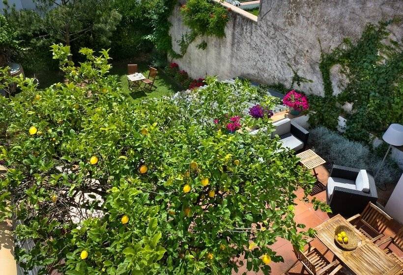 住宿加早餐  Casa Calella