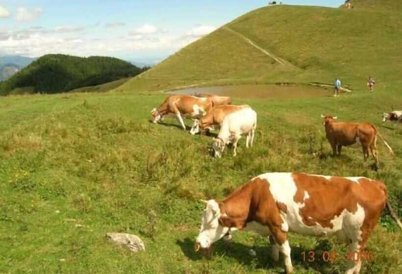 ベッドアンドブレックファースト Casa Fiorina