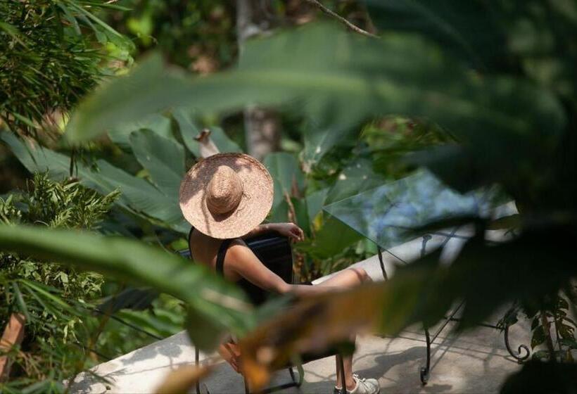 تختخواب و صبحانه Colores De La Sierra