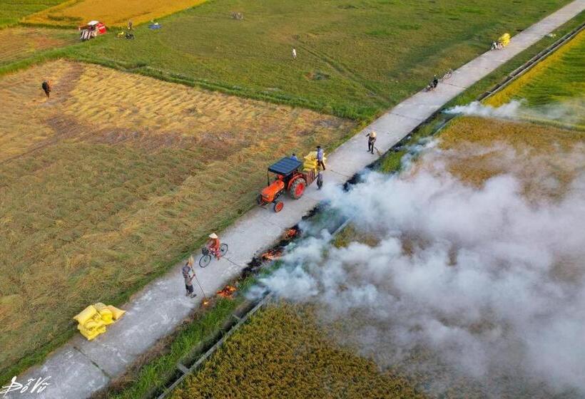 تختخواب و صبحانه Lavini Hoian Boutique Villa