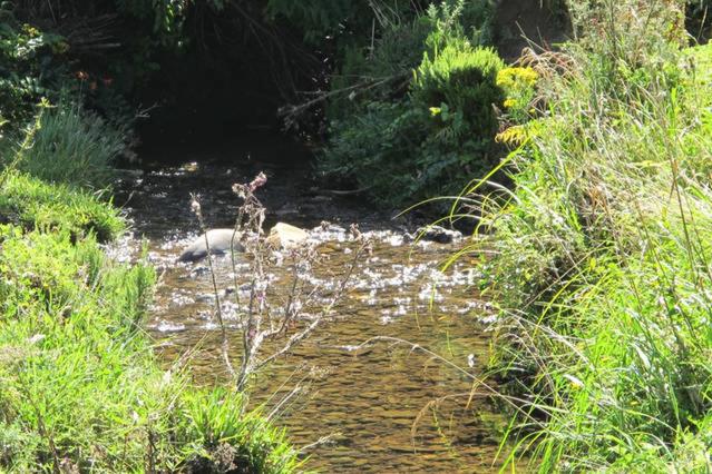 צימר Little Paradise & Petting Farm