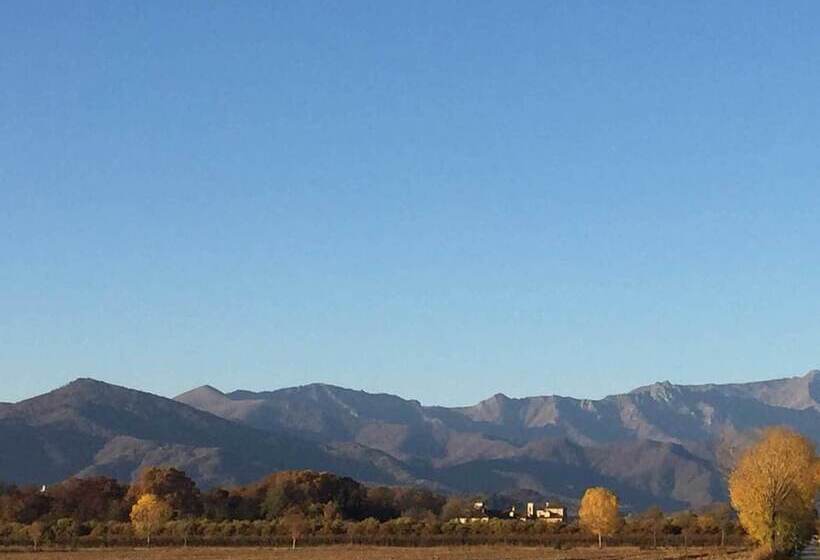 ベッドアンドブレックファースト Tenuta Il Palazzasso