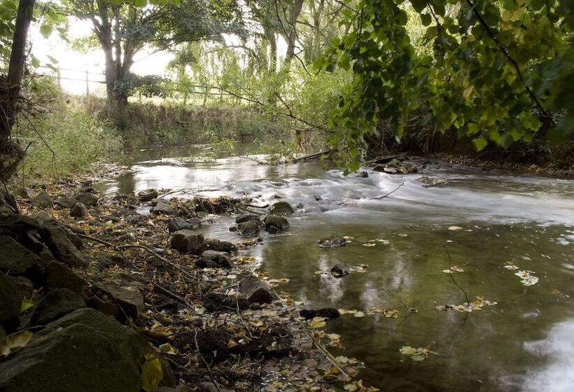 مبيت وإفطار The Old Manor House