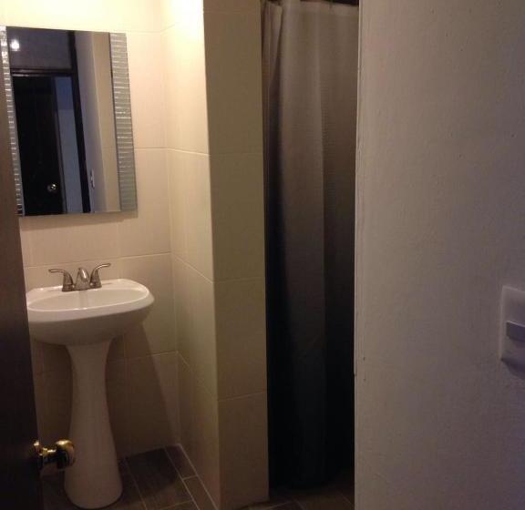 هتل Flamingos Colima