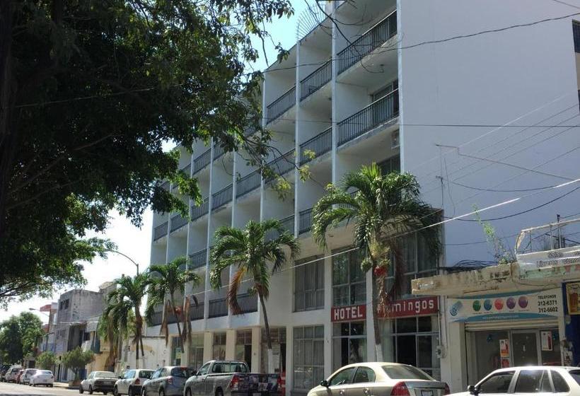 هتل Flamingos Colima