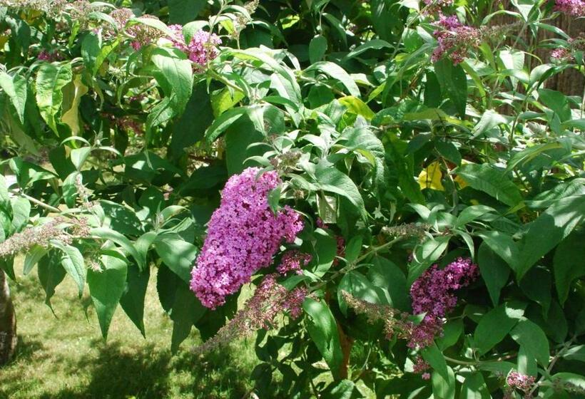 ホテル Hôtel Victor Hugo