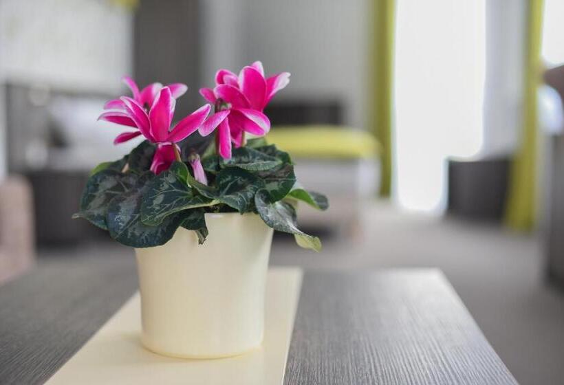 酒店 Oázis Wellness Panzio