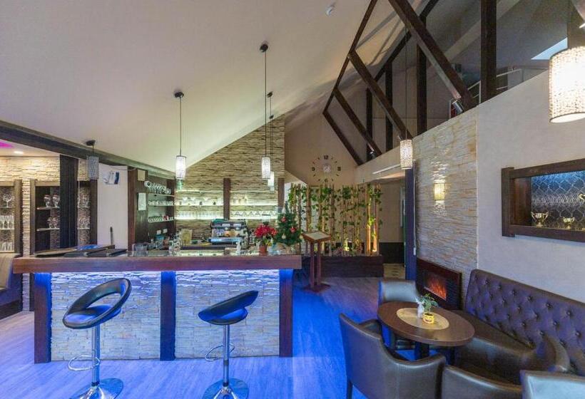 酒店 Oázis Wellness Panzio