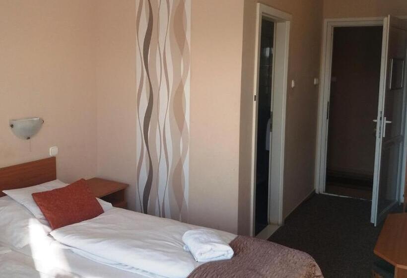 酒店 Oázis Wellness Panzio