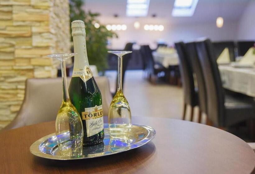 酒店 Oázis Wellness Panzio