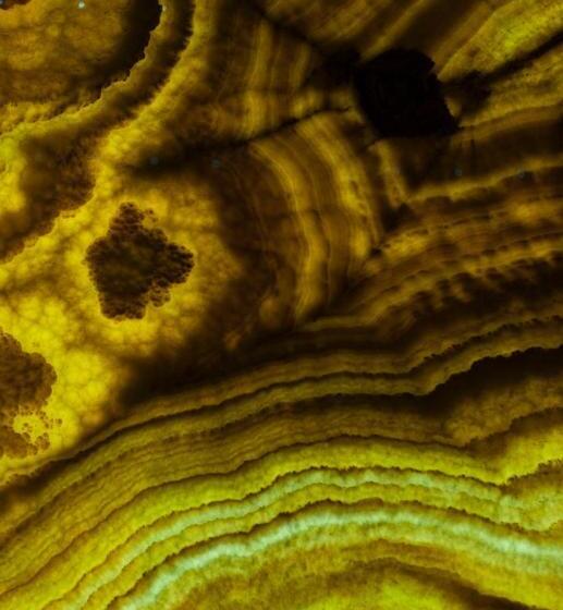 Wellness Hotel Löwe