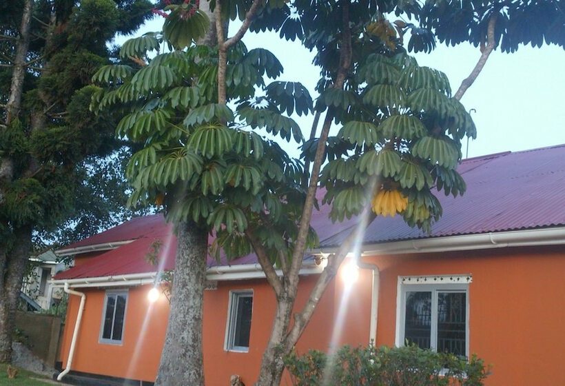 تختخواب و صبحانه City Park Motel