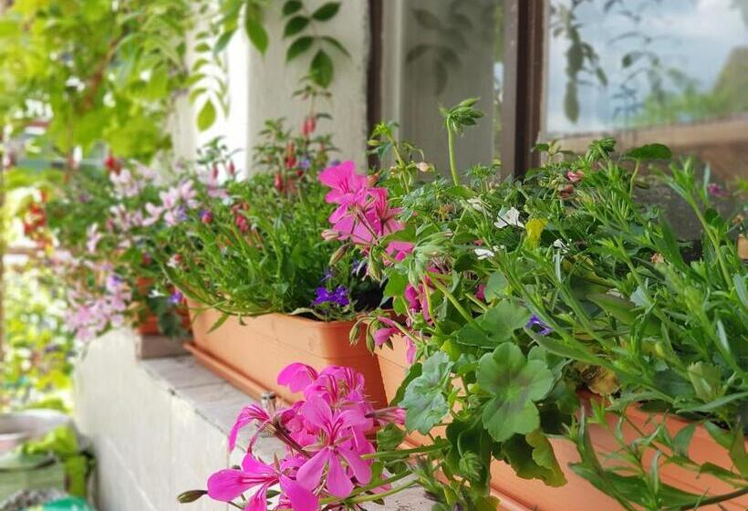 민박 Garni Hotel Mühletal