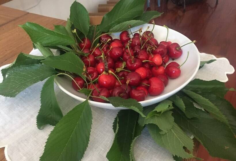 住宿加早餐  P&g Design By Lago Welcome Enna