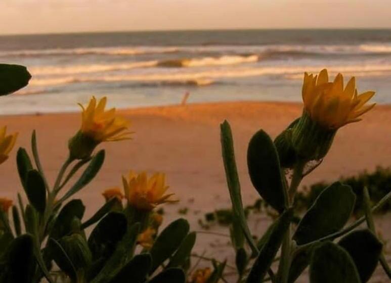 צימר Pousada Villa Morena