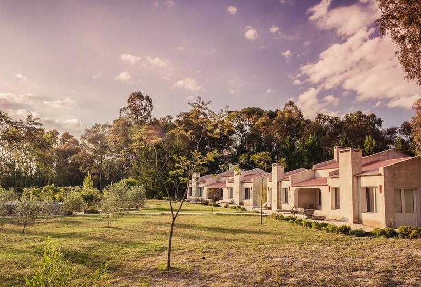 Bed and Breakfast Suites Camacho