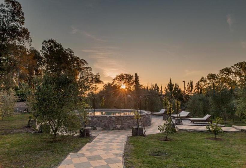 Bed and Breakfast Suites Camacho