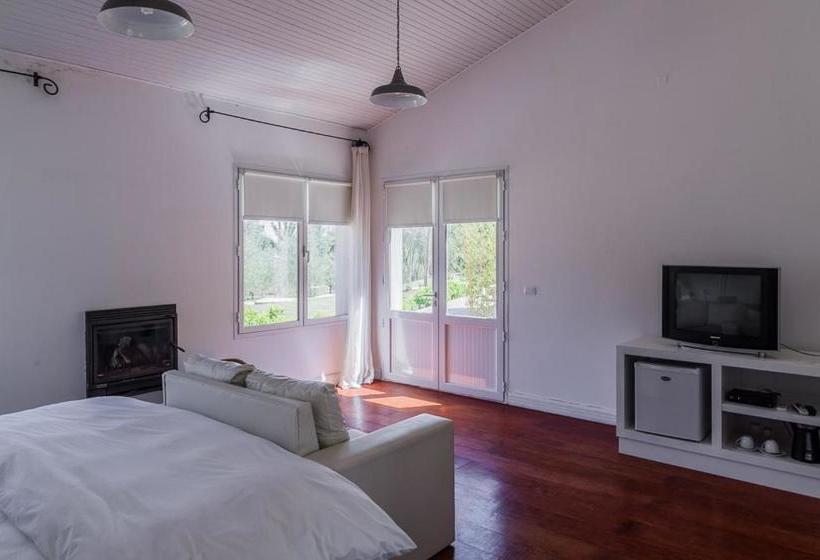 Bed and Breakfast Suites Camacho