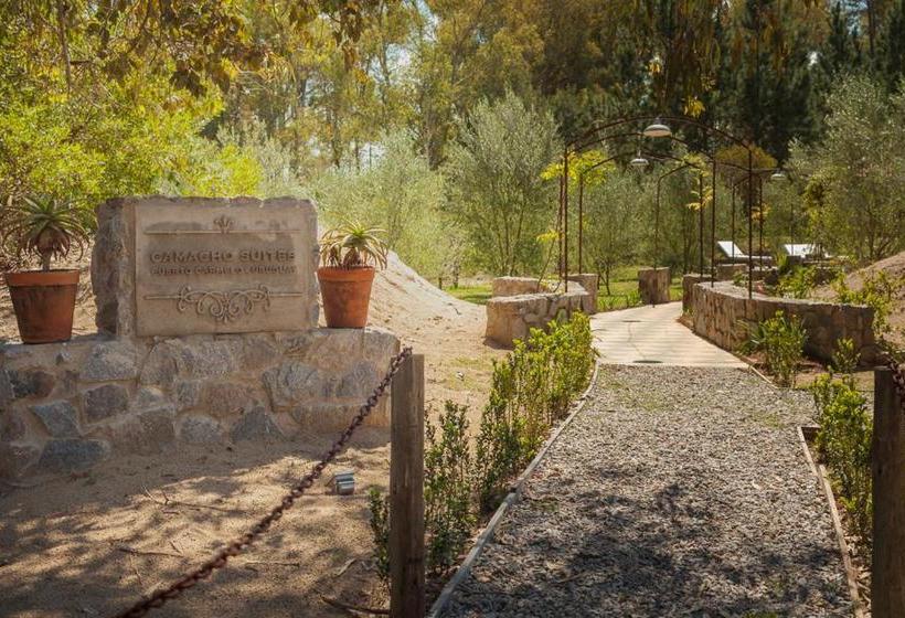 Bed and Breakfast Suites Camacho