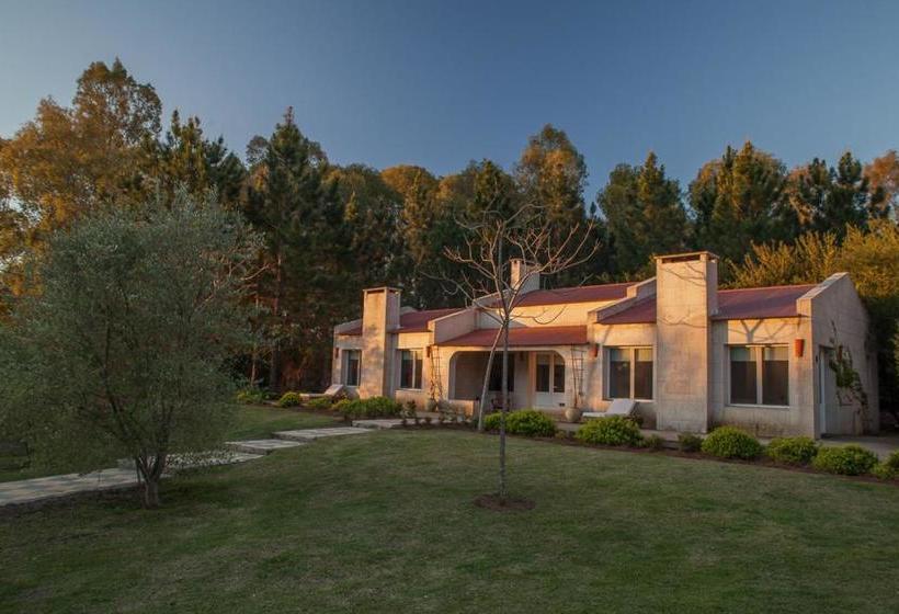 مبيت وإفطار Suites Camacho