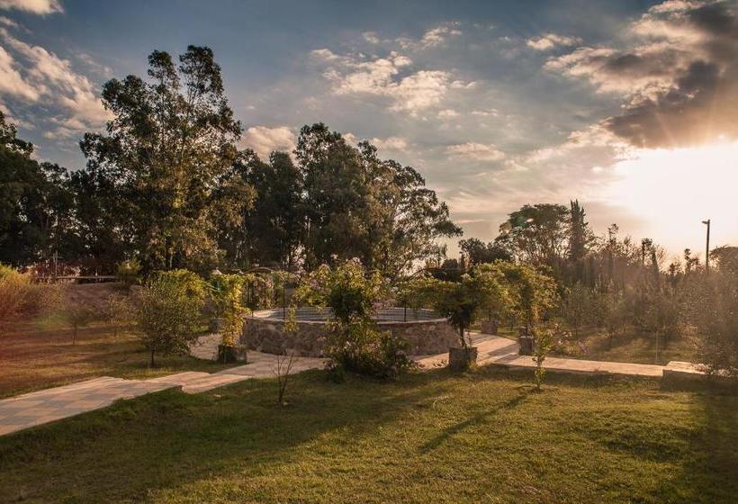 Bed and Breakfast Suites Camacho