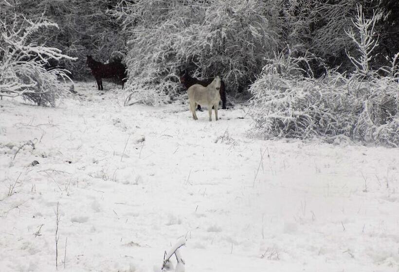 Can Gasparó Hotelrural&restaurant