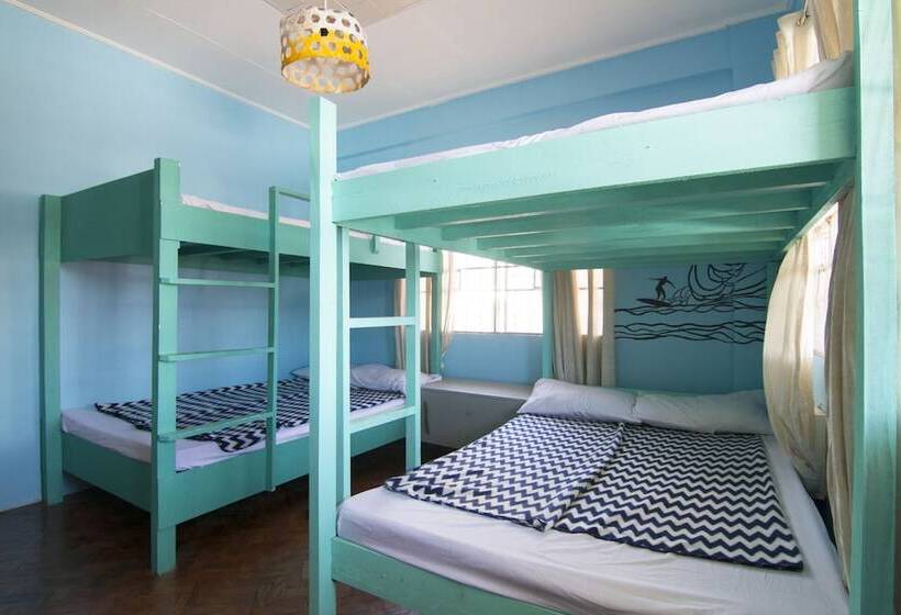 Go Surfari House   Hostel