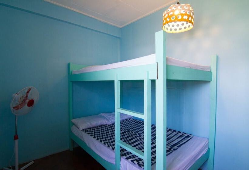 Go Surfari House   Hostel