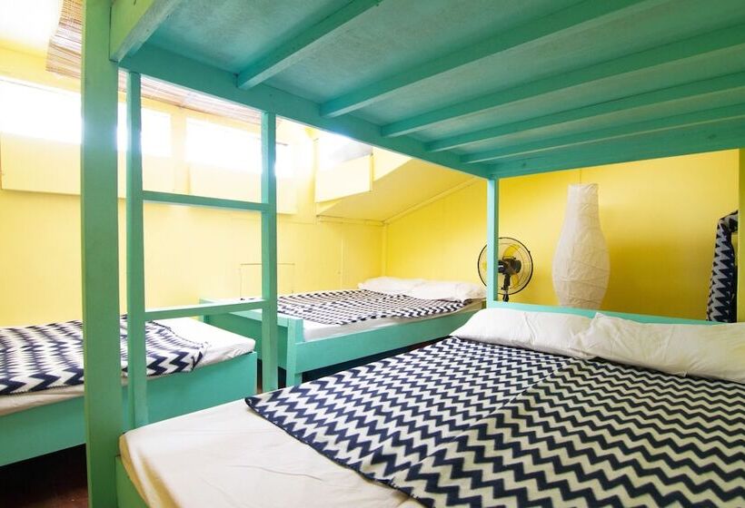 Go Surfari House   Hostel