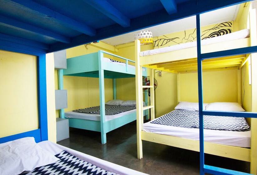 Go Surfari House   Hostel